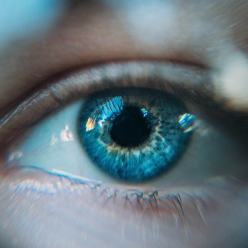 daniil-kuzelev-QRawWgV6gmo-unsplash